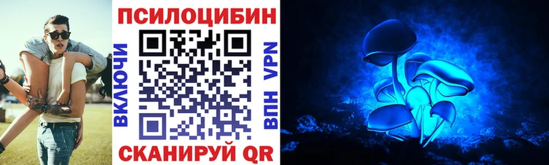 купить наркотик  Серпухов  Псилоцибиновые грибы Magic Shrooms 